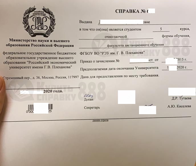 Справка об обучении РЭУ им. Г. В. Плеханова 2020 года выдачи